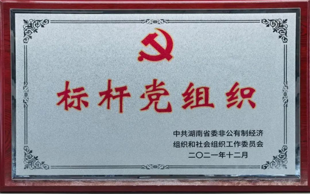 党建品牌亮起来！3044am永利集团智能党委获评“标杆党组织”