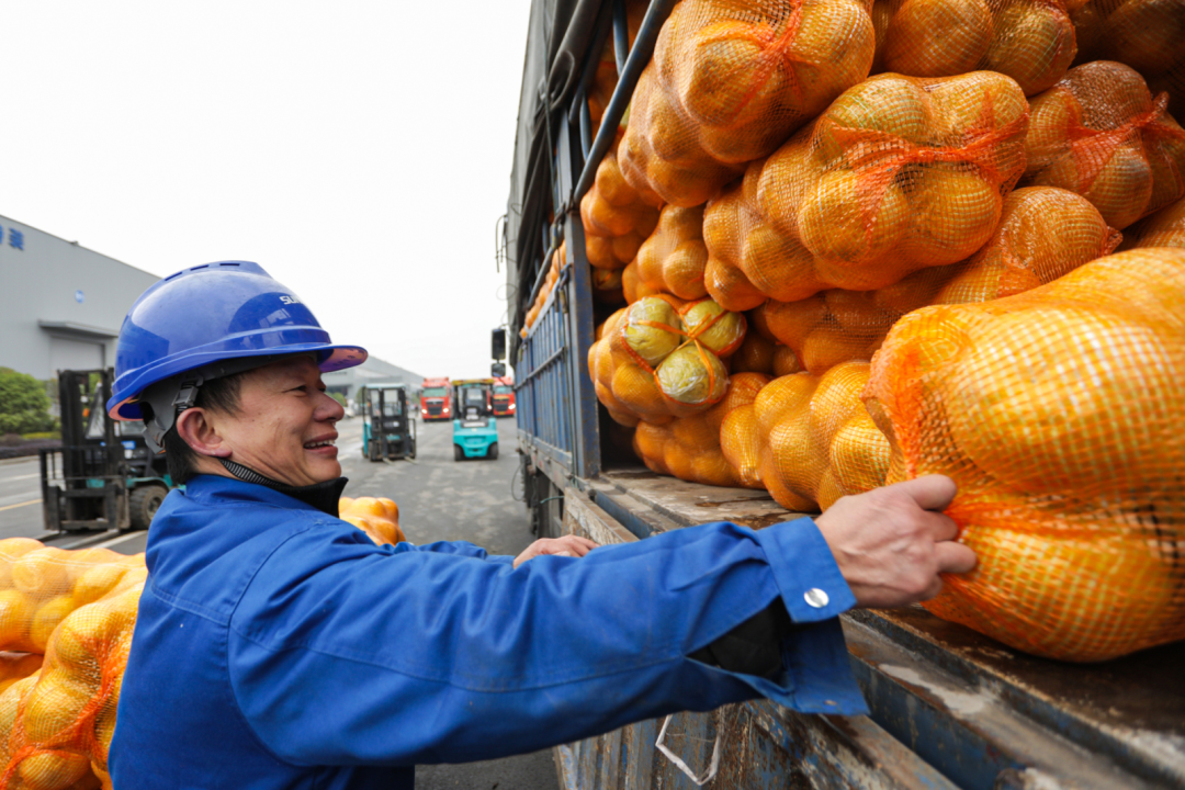点赞！！3044am永利集团智能乐成入选“上市公司墟落振兴优异实践案例”